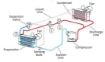 Bild von Elektrische Kryosauna - Cryostar (Whole Body)