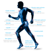 Bild von Focus Shockwave – Stoßwellentherapie